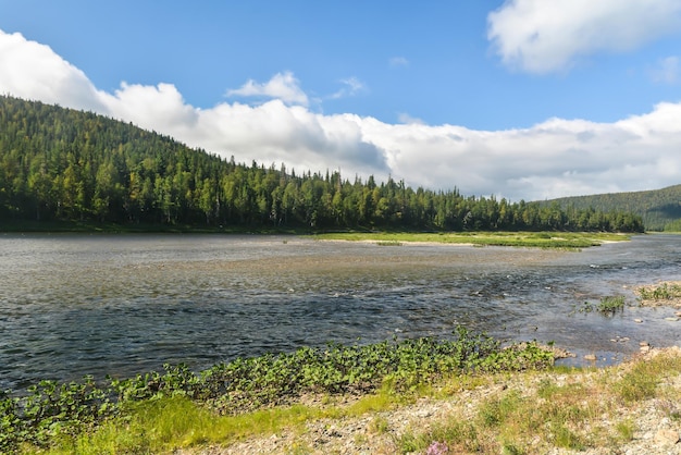 Summer in the Yugyd Va National Park