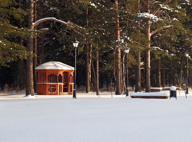 Summerhouse in winter forest