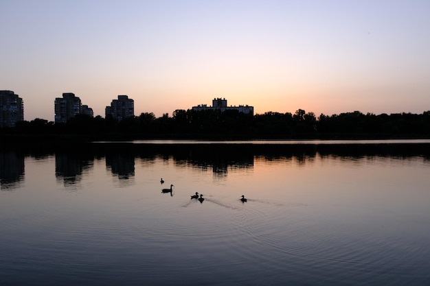 Sumy City 미드타운 실루엣 파노라마 일몰 시 고층 빌딩과 강 위의 화려한 하늘