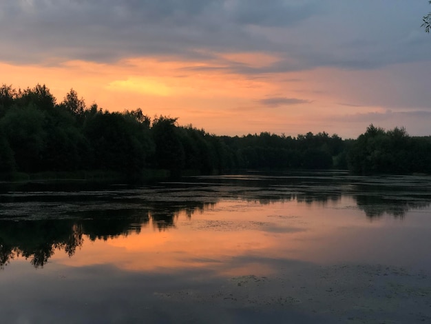 Sun down behind dark forest trees silhouetted on horizon of lake golden hour sunset light