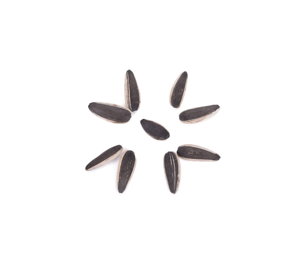 Sun flower seeds isolated