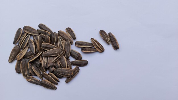 Photo sun flower seeds