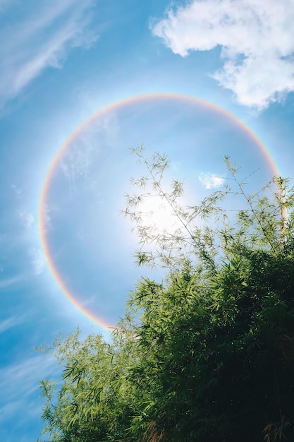 写真 サンハローは、重なり合う多くの太陽の反射のように見える自然現象です