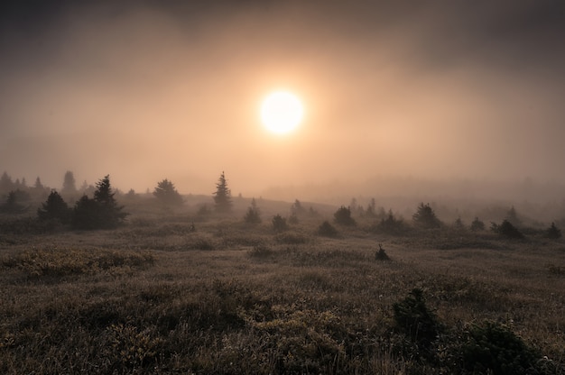 Sole sulla collina nella nebbia del mattino