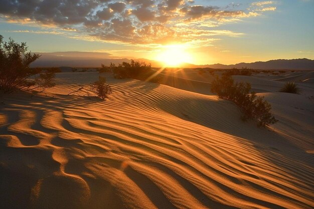 Foto il sole sta tramontando sulle dune di sabbia.