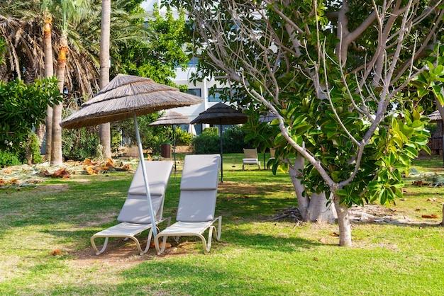 Sun lounger with umbrella at the hotel