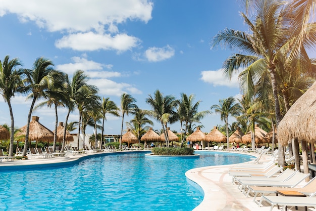 Photo sun loungers near palms and swimming pool