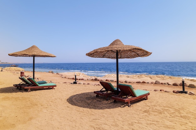 Sun loungers on a sandy beach in sunny weather.