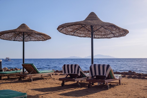 Sun loungers on a sandy beach in sunny weather.