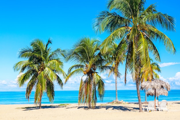 Sun loungers under straw umbrellas on the sandy beach with palms near ocean and sky in Varadero, Cuba