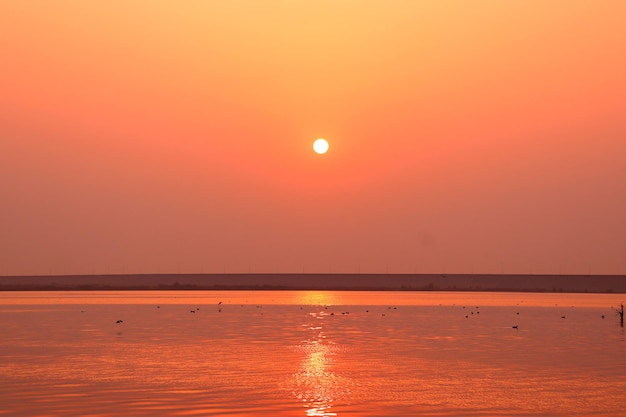 写真 地平線上の太陽