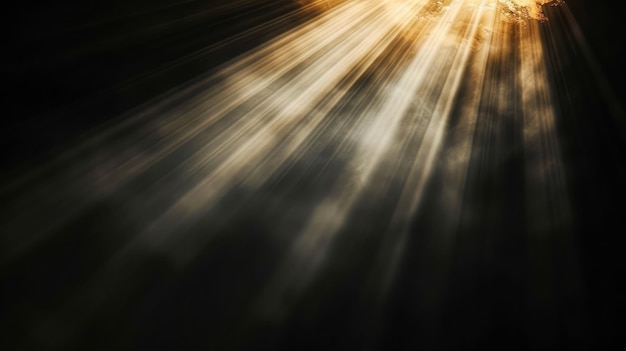 Sun rays light isolated on black background for overlay design