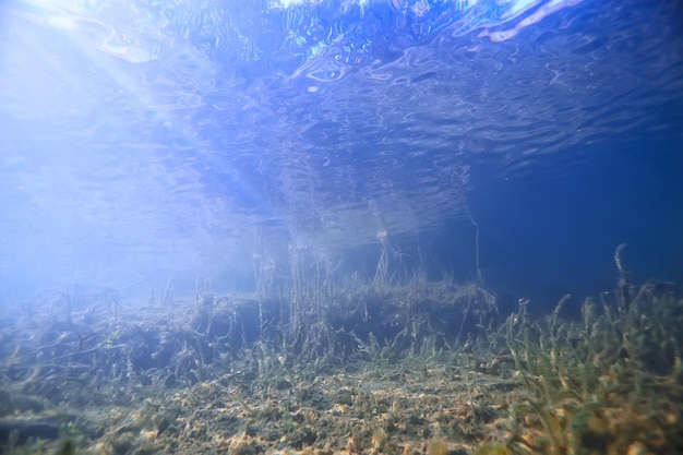 太陽光線川水中景観/抽象的な水中景観植物新鮮な生態系