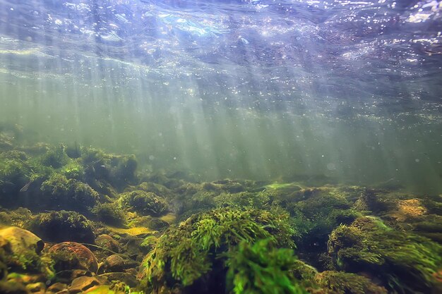 солнечные лучи под водой пейзаж, морской пейзаж пресная вода река дайвинг