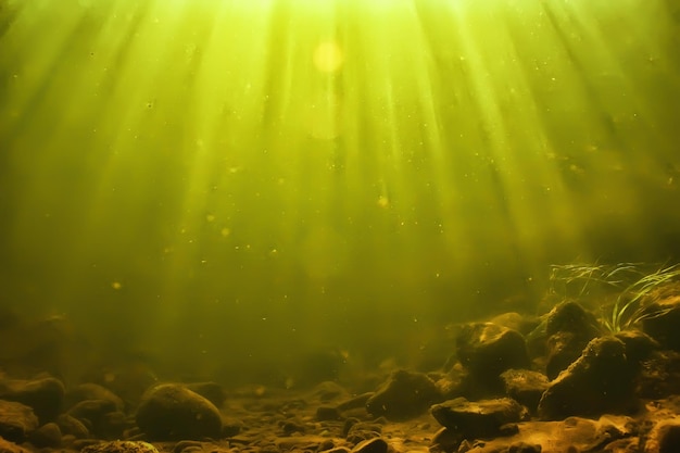 sun rays under water landscape, seascape fresh water river diving