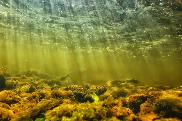 солнечные лучи под водой пейзаж, морской пейзаж пресная вода река дайвинг