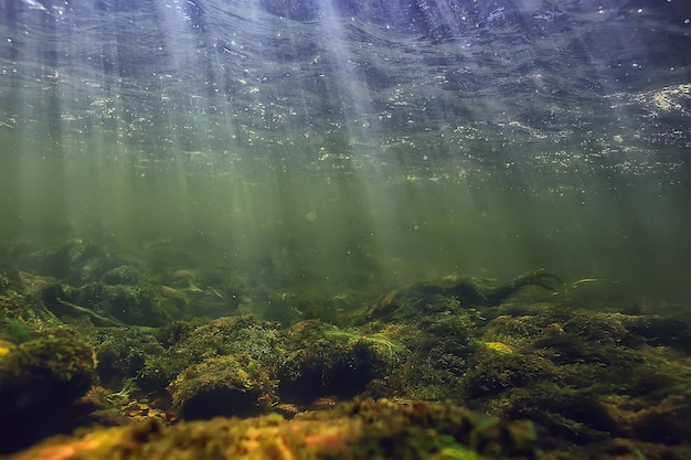 солнечные лучи под водой пейзаж, морской пейзаж пресная вода река дайвинг