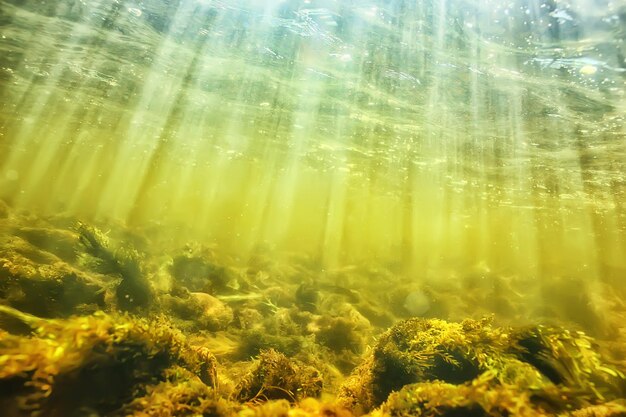 sun rays under water landscape, seascape fresh water river diving