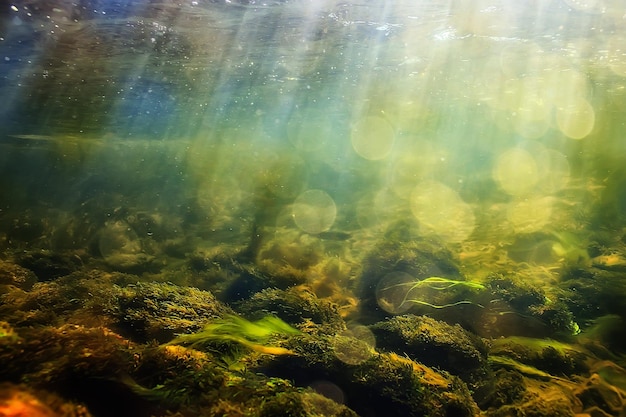 солнечные лучи под водой пейзаж, морской пейзаж пресная вода река дайвинг