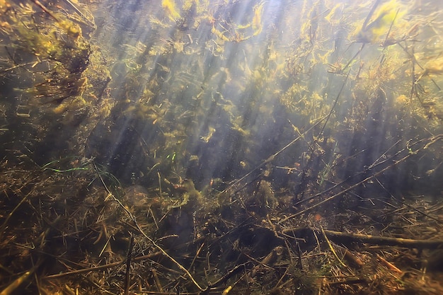 sun rays under water landscape, seascape fresh water river diving