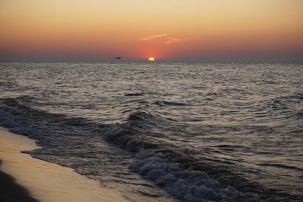 Sun reflecting in waves on shore at sunset