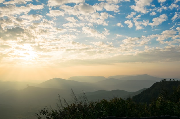 the sun rise in the morning sky.Dark shadows, forests and trees