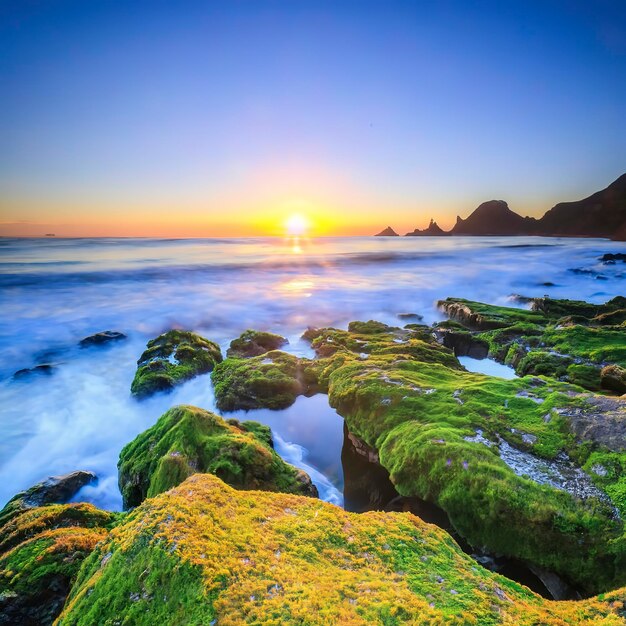 The sun rises over a gorgeous beach with mossy rocks