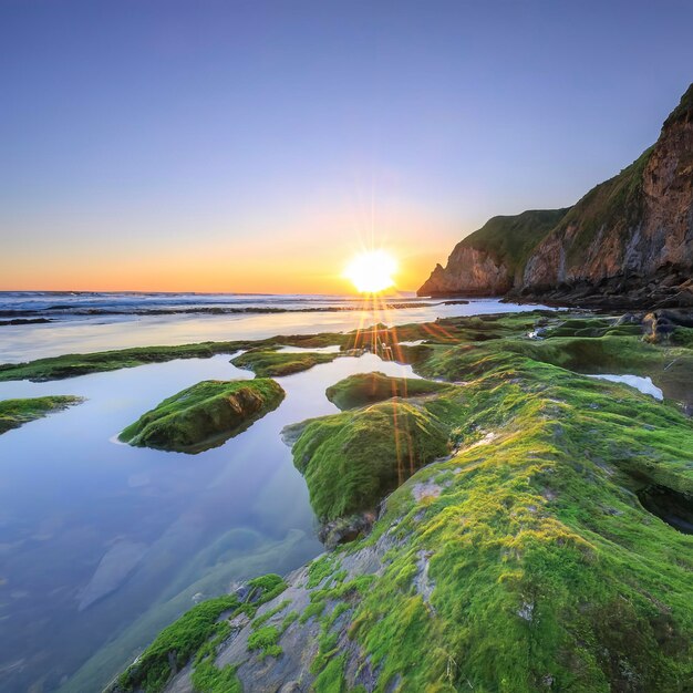 The sun rises over a gorgeous beach with mossy rocks