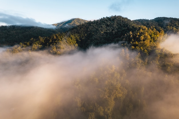 The sun rises in the mist and mountains in the morning,morning fog