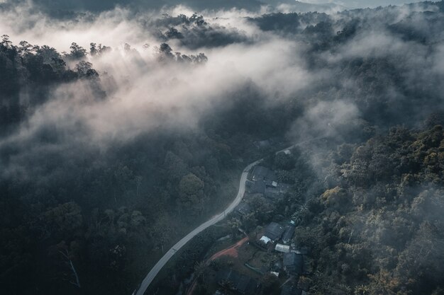 The sun rises in the mist and mountains in the morning,morning fog