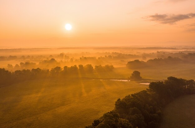 Sun rising above riparian forest in summer from drone