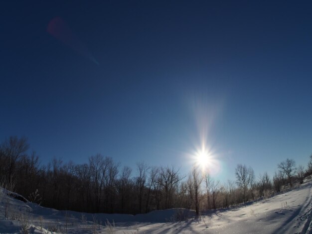 the sun rising over the winter forest