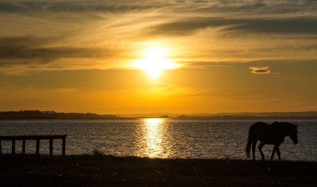 Photo sun set lagoon