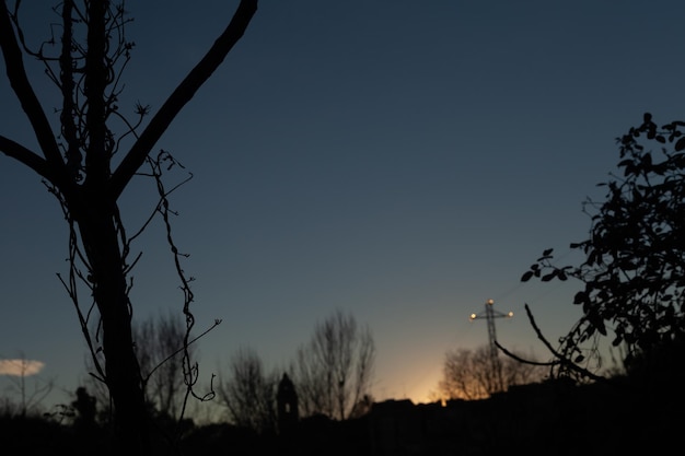 sun setting in the background with a tree in the foreground