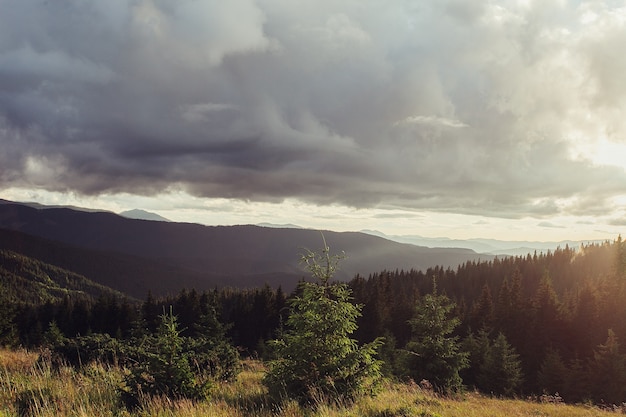 Sun setting behind spruce trees on a lush green slope. Tents and smoke in the distance. Several clouds in the orange sky at sunset. Warm summer evening. Marmarosh range, Carpathian mountains, Ukraine