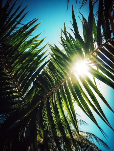 The sun shines through the leaves of palm tree on sunny day Generative AI