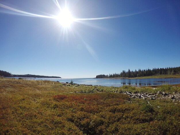 Sun shining over calm lake