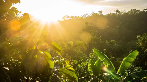 Photo sun shining over jungle foggy green pine forest generative ai