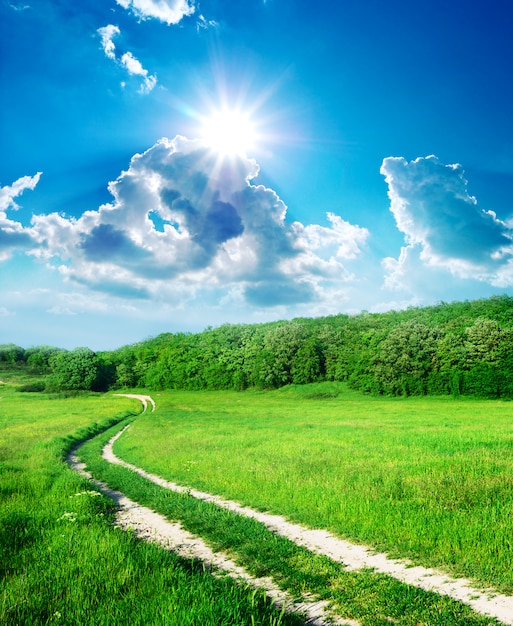 Sun shining on a lane in a green meadow