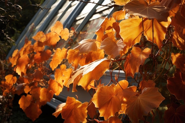 Sun shining on solar panels mimicking leaves