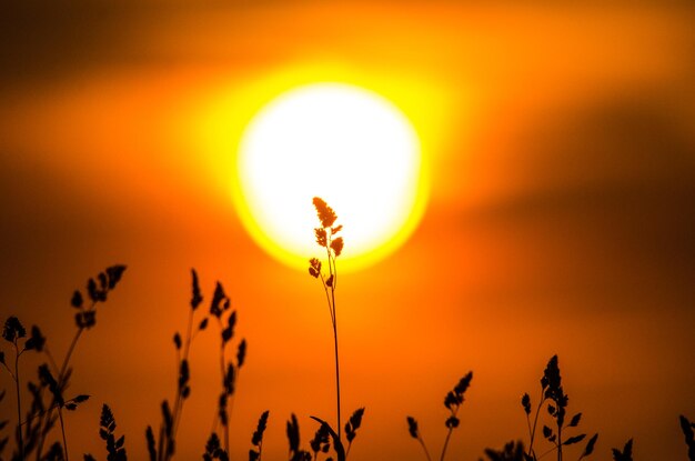 Photo sun shining through clouds