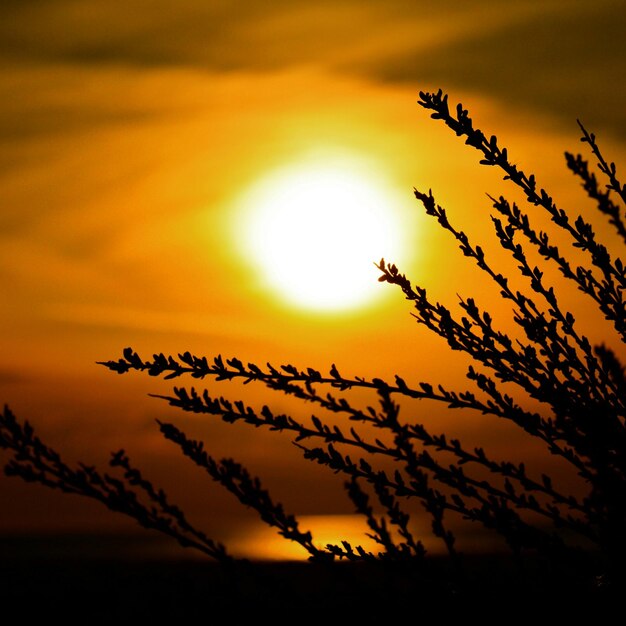 Foto il sole splende attraverso le nuvole