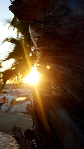 Photo sun shining through clouds