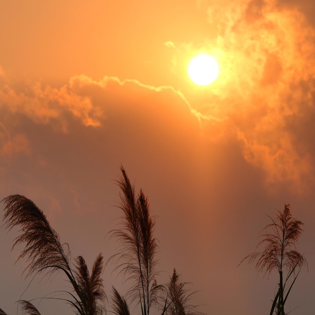 Sun shining through clouds