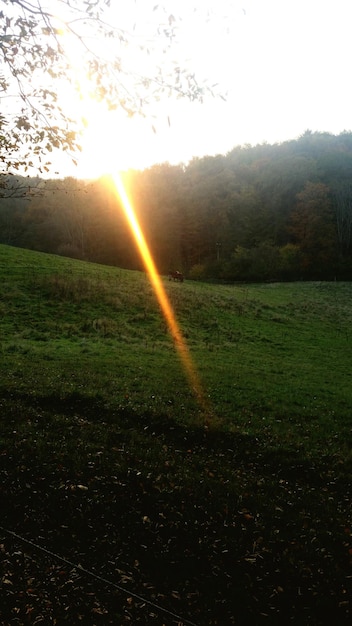 Foto il sole splende attraverso il campo erboso