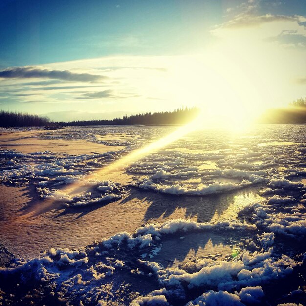 Sun shining through snow covered field