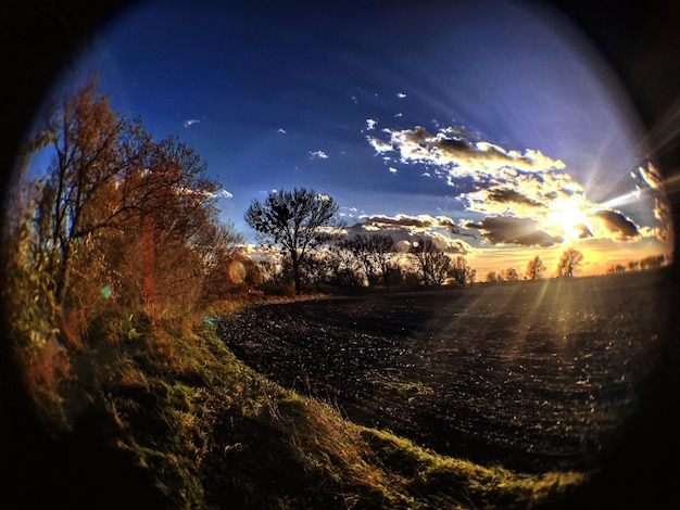 Foto il sole splende tra gli alberi