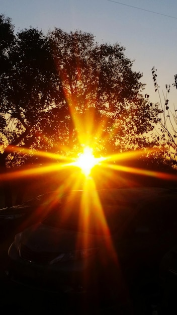 Photo sun shining through trees