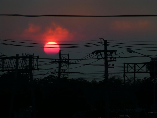 写真 木の中を照らす太陽