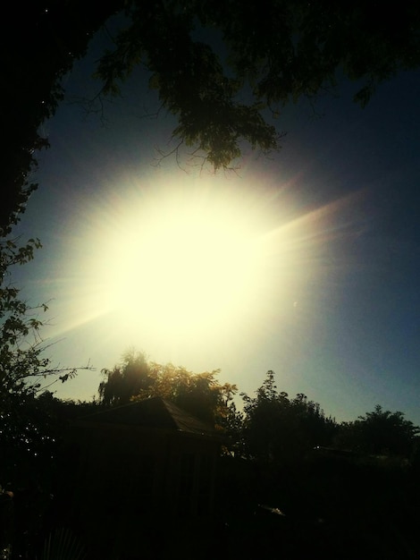 Photo sun shining through trees